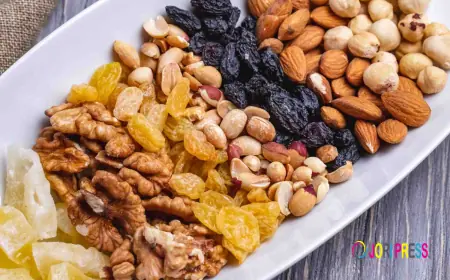 Top Dry Fruits Company in India: Trusted Suppliers & Manufacturers