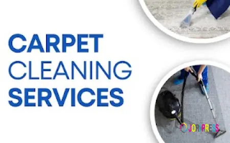 Bedeen Cleaning Services Introduces Eco-Friendly Carpet Cleaning Solutions in Ipswich
