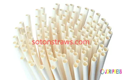 Trust Soton for Sustainable Eco-friendly Straws Excellence