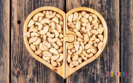 How to Choose the Best Cashew Nuts Supplier in 2026