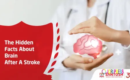 The Hidden Facts About the Brain After a Stroke