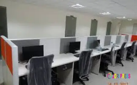 The Role of Commercial Office Chairs in Employee Wellbeing