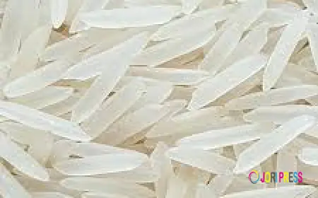 White Sella Basmati Rice Suppliers: A Comprehensive Guide