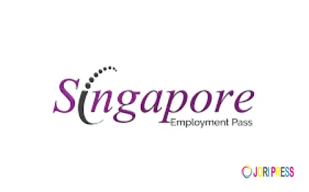 Guide To Singapore Work Pass Types