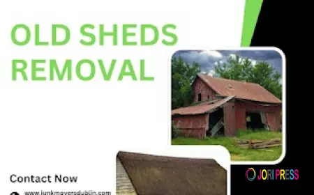 Fast and Efficient Old Shed Removal Solutions in Dublin Launched by Local Experts