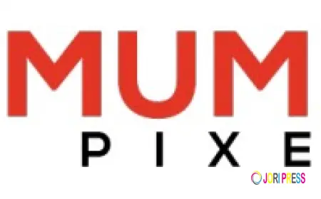 Top WordPress Website Design Company in Mumbai