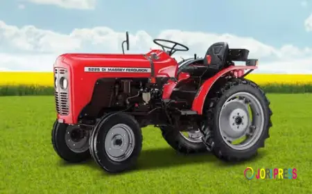 Discover the Massey Ferguson Tractors for Various Farming Needs in India