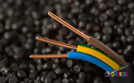 What Makes Leading Armored Cable Suppliers in UAE Stand Out in Terms of Durability, Compliance, and Cost Efficiency?