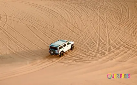 Best Desert Safari Operators & City Tour Operators in Abu Dhabi