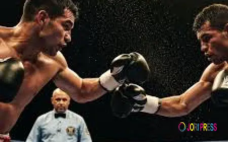 Holywings: Destinasi Kuliner dan Hiburan Kekinian yang Semakin Digemari