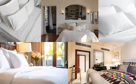 Top Bed Sheet Set with Comforter Options for Luxury Hotels & Resorts in India