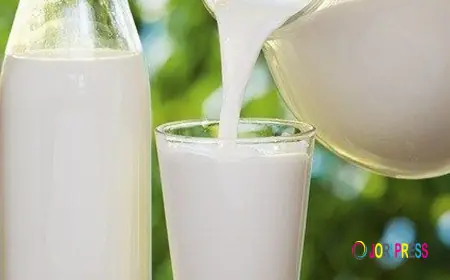 Goat Milk: Benefits, Uses, and Side Effects Explained