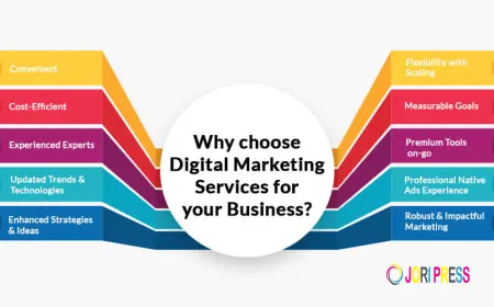Why Choosing the Best Digital Marketing Agency in Noida Can Transform Your Business