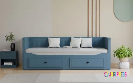 Sofa Cum Bed: The Smart Furniture Choice for Modern Homes