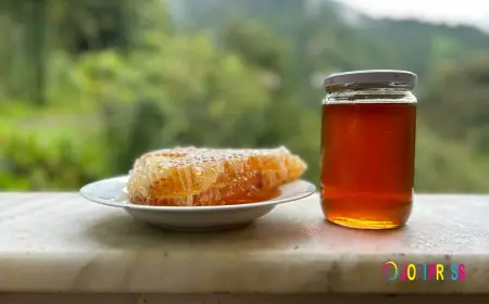 Top 10 Health Benefits of Mad Honey You Should Know