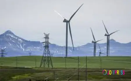 VZFox Canada Expands Power Generation Scoping and Project Management Services for Energy Developers Across Canada