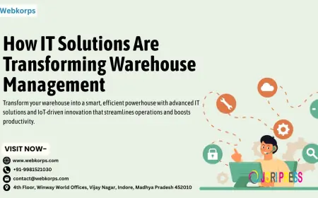 How IT Solutions Are Transforming Warehouse Management
