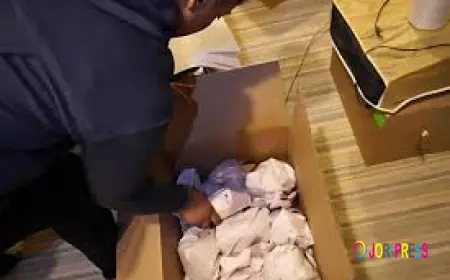 How Do Professional Office Movers Plan Complex Relocations Without Losing Productivity?