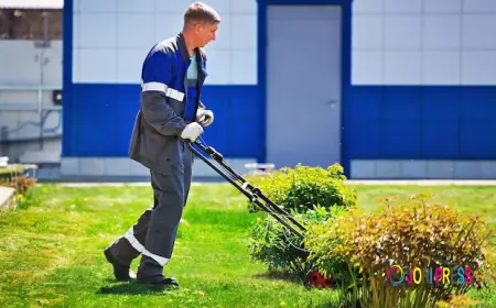 Coventry Residents Can Now Book Affordable Garden Cleaning Services From Local Experts