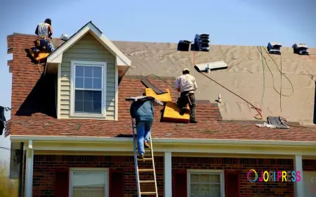 Essential Guide to Maintaining and Protecting Your Riverview Home Roof
