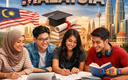 How Coursework Help Transformed Sofia’s Law Degree