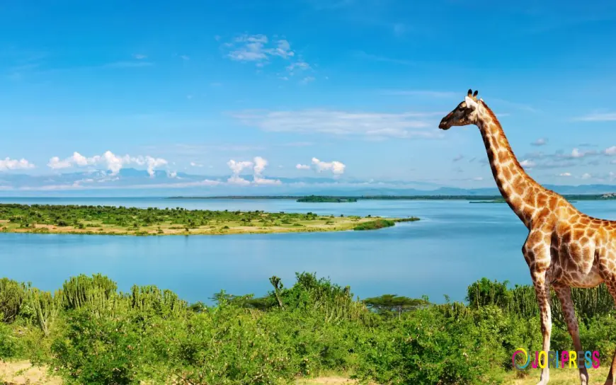 What to Pack for a Uganda Safari