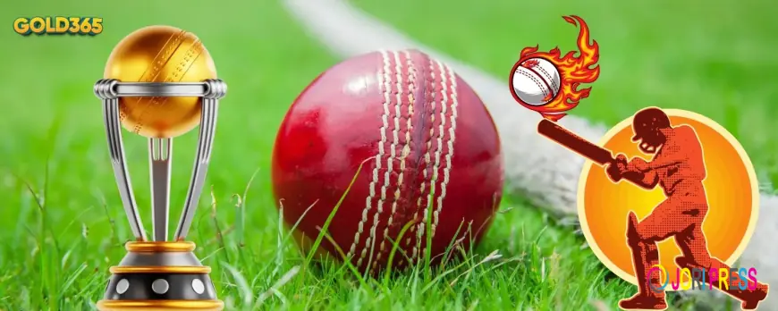 Gold 365 Cricket: The Ultimate Platform for Live Scores and Online Betting