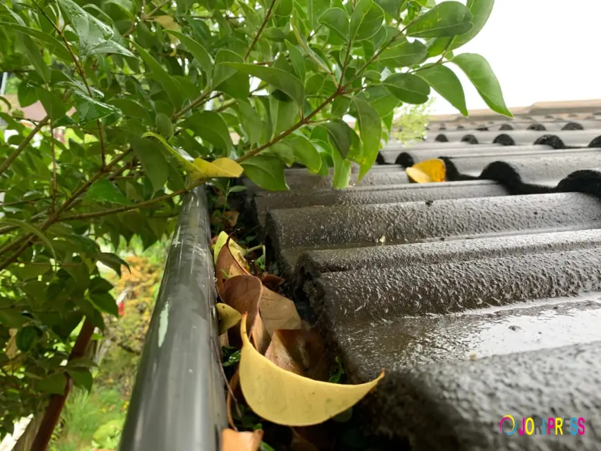 Are Overflowing Gutters Causing Problems? Can a Gutter Cleaning Company Fix It Fast?