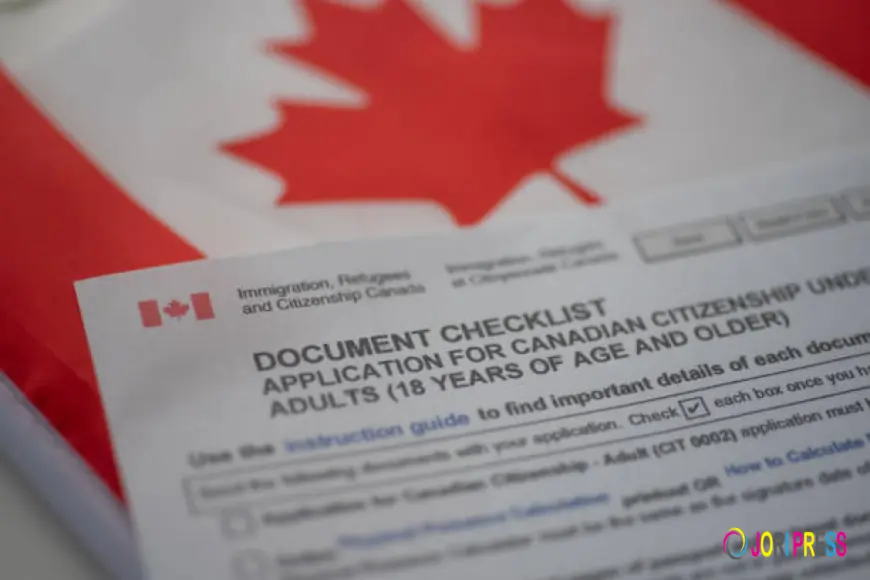 Everything You Need to Know About Citizenship Application Requirements