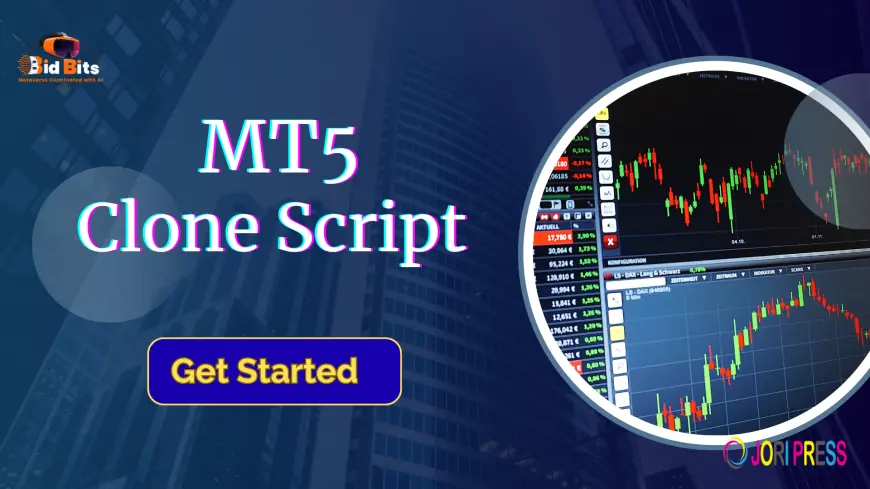 MT5 Clone Script with Secure API Integration and Liquidity Management
