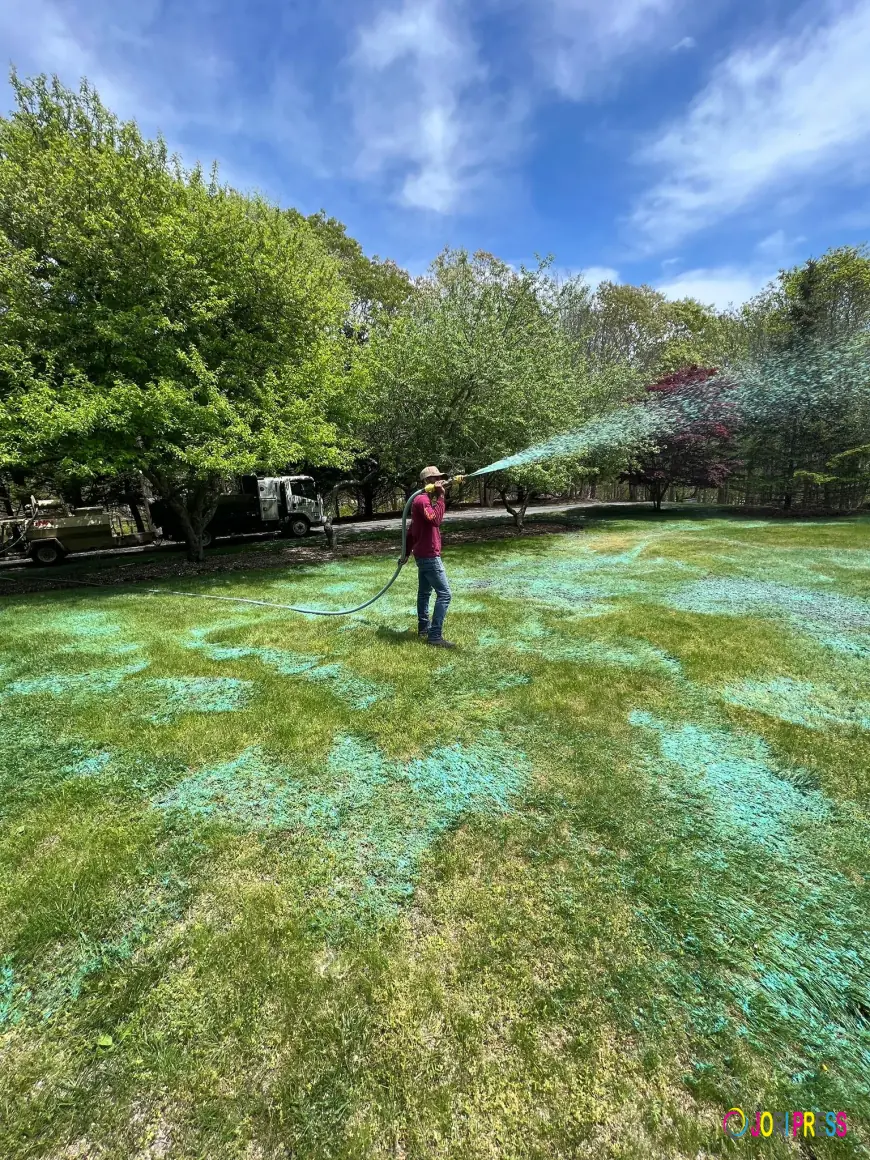 DIY vs. Professional Lawn Hydroseeding Services: Which One Truly Works Better?