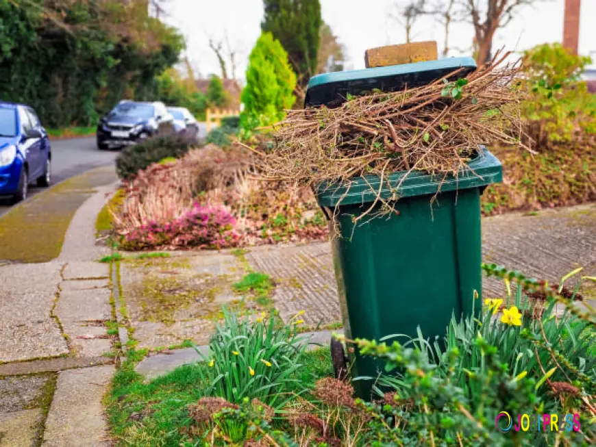 Junk Removal Orlando for Yard Waste – Trees, Branches & Green Debris Cleared in One Visit