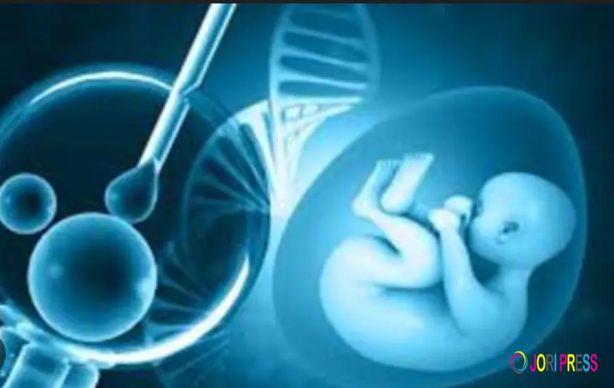 IVF Center in Jalandhar: A Complete Guide for Couples Planning Fertility Treatment