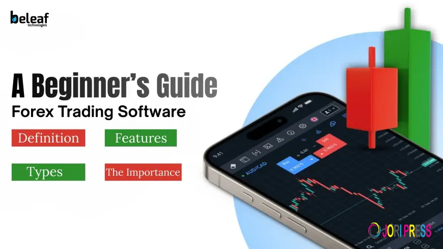 A Beginner’s Guide to Forex Trading Software and How It Works