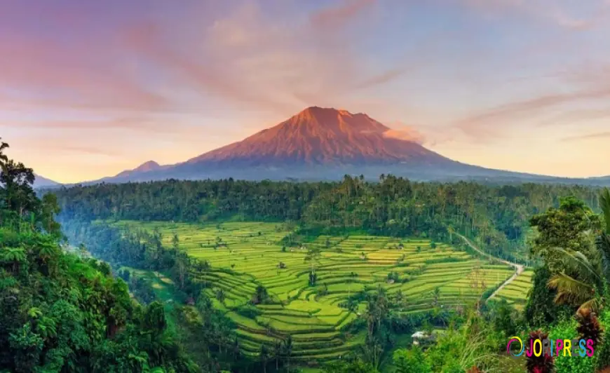 9 Yoga and Wellness Retreats in Bali 2026