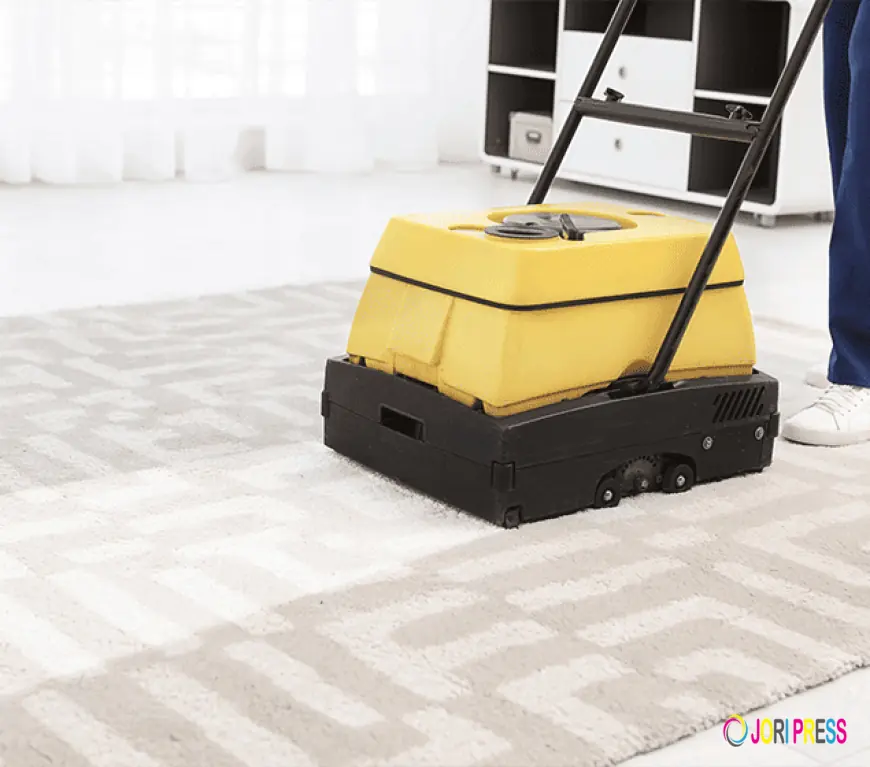 Carpet Cleaning Services Brisbane: A Practical Guide for Cleaner Homes