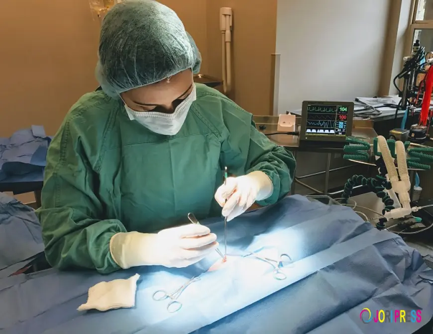 Why Do Veterinarians Recommend Early Spay and Neuter Surgery in Topeka for Cats and Dogs?