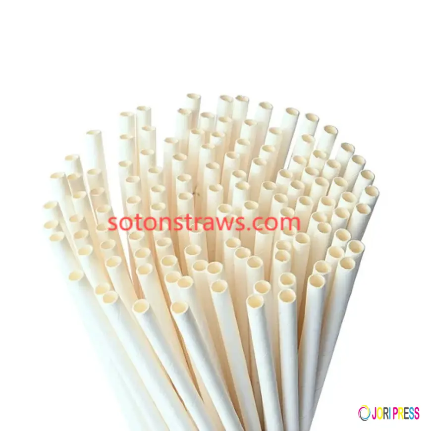 Trust Soton for Sustainable Eco-friendly Straws Excellence
