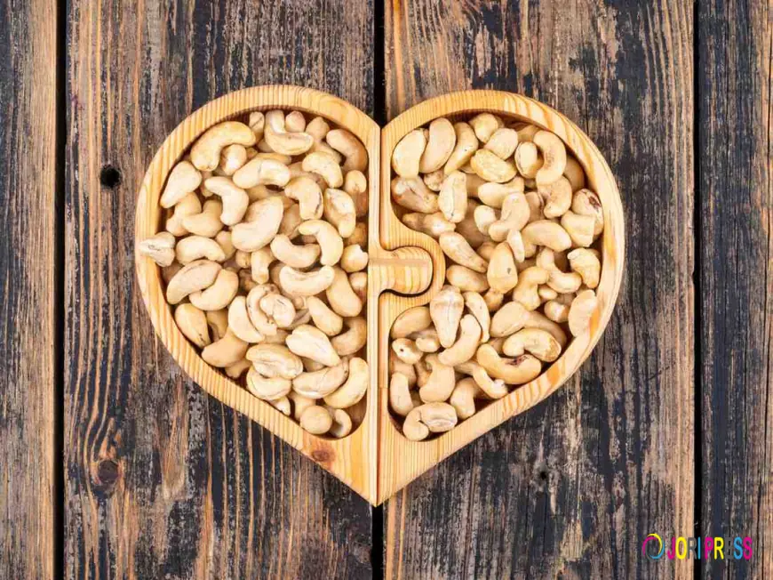 How to Choose the Best Cashew Nuts Supplier in 2026