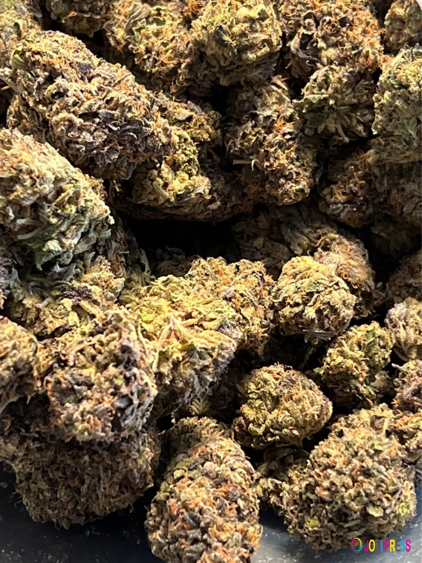 How to Store Bulk Weed to Keep It Fresh Longer