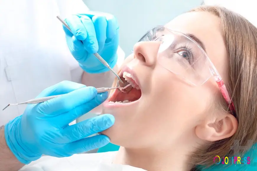 Hutt Dental Hub Provides Comprehensive Family Dental Care Across the Hutt Valley