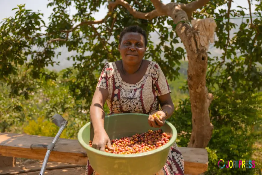How Ugandan Communities Are Turning Trees into Livelihoods