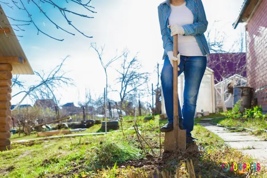 Junk Masters Dublin Expands Professional House and Garden Clearance in Dublin for Local Residents