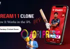 Dream11 Clone App: How It Works in the IPL Fantasy Cricket Boom