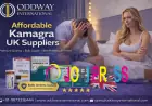 Fast Shipping Kamagra Wholesale Europe Bulk Supplier in the UK Market - Oddway