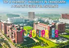 Top B Pharmacy University in Chandigarh: A Complete Guide for Aspirants