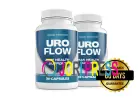 UroFlow 2026: Prostate, Bladder & Urinary Flow Support