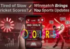 Never Miss a Ball: How Winmatch is Changing Cricket Updates