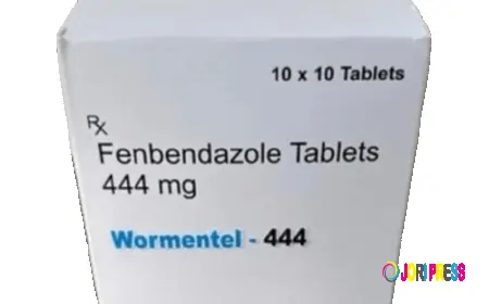 Fenbendazole 444 Mg Uses Benefits and Side Effects Explained