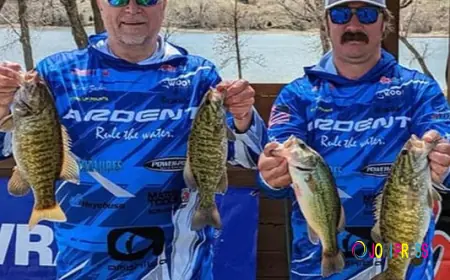 What Do Pros Know About Buying Baitcasting Reels on Sale That You Don’t?